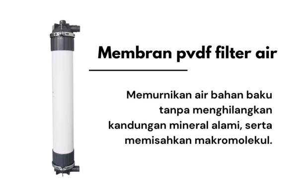 Membran pvdf filter air